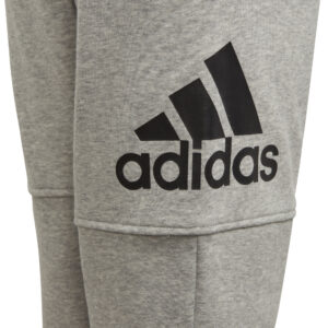Adidas Kids Boys Essentials Logo Pant