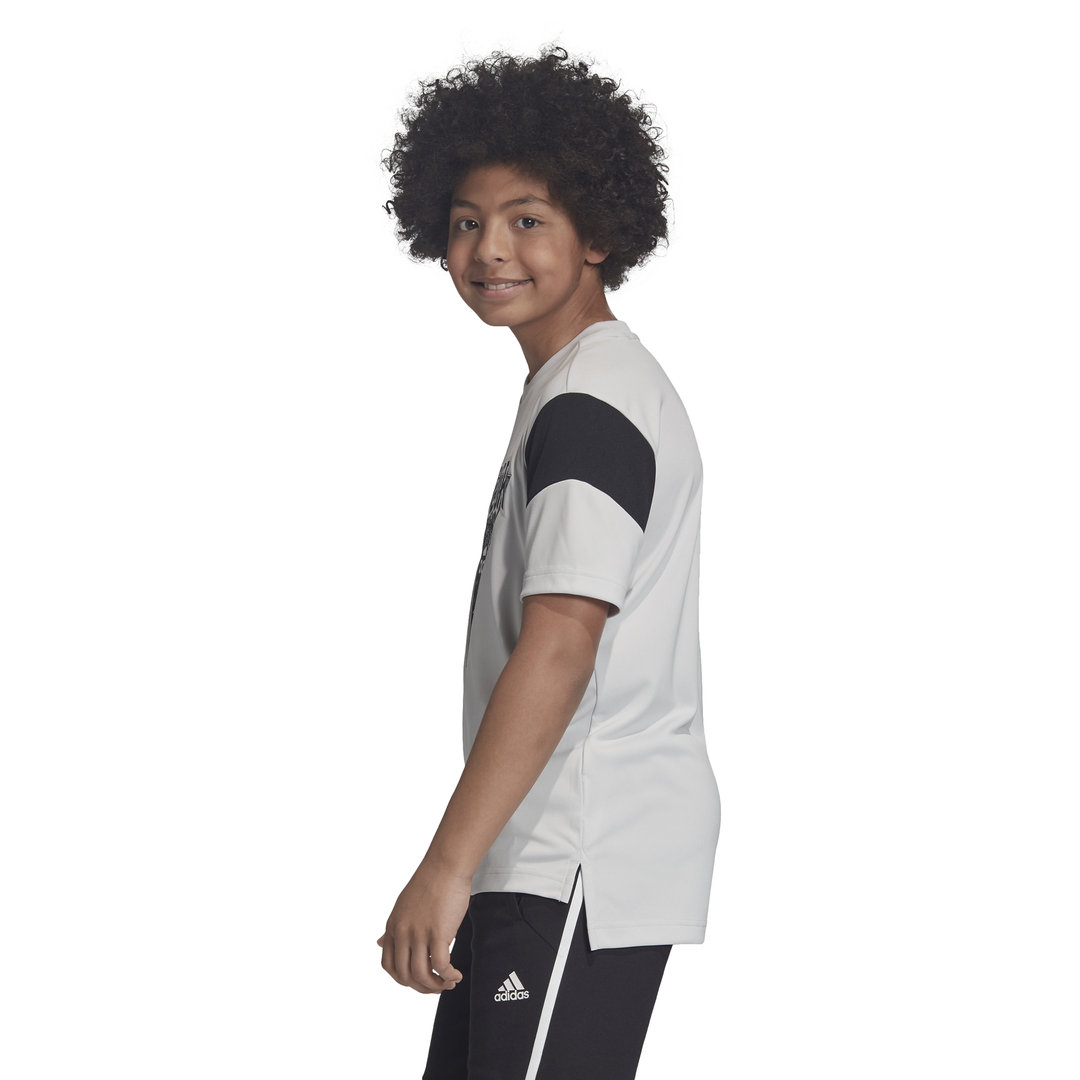 Adidas Kids Boys Clothing Training Predator Tee Grey DV1336 - Image 2