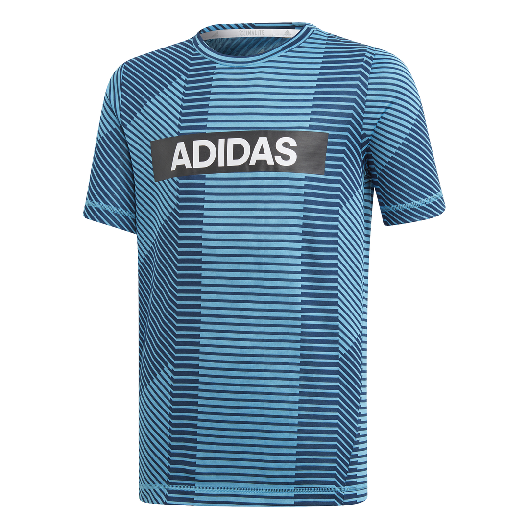 Adidas Kids Boys Training Branded Tee Blue DV1366