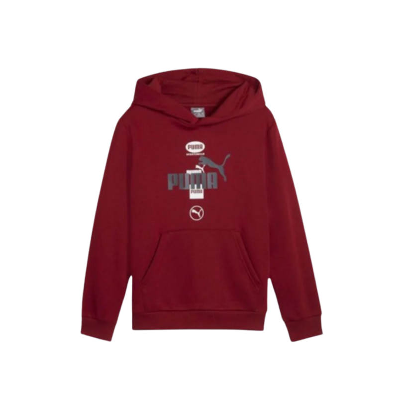 Puma Power Fleece Youth Boys Athletic Graphic Hoodie Burgundy 681859 13 San Siro Sports